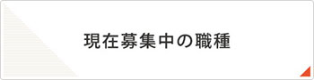 現在募集中の職種